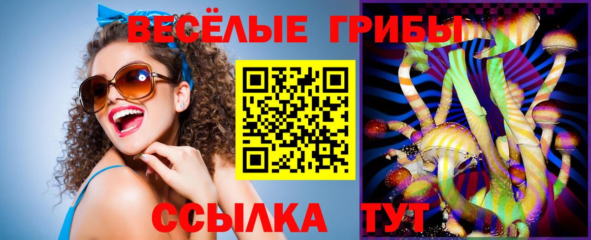 Псилоцибиновые грибы MAGIC MUSHROOMS Ржев