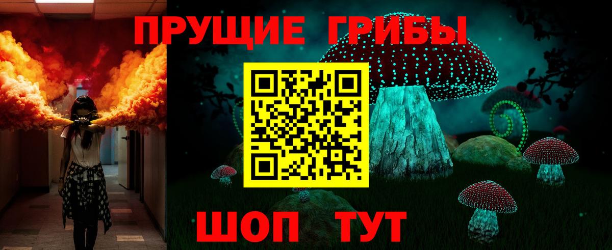 где найти   Псилоцибиновые грибы ЛСД  Ржев  Вход с VPN  Псилоцибиновые грибы Cubensis 
